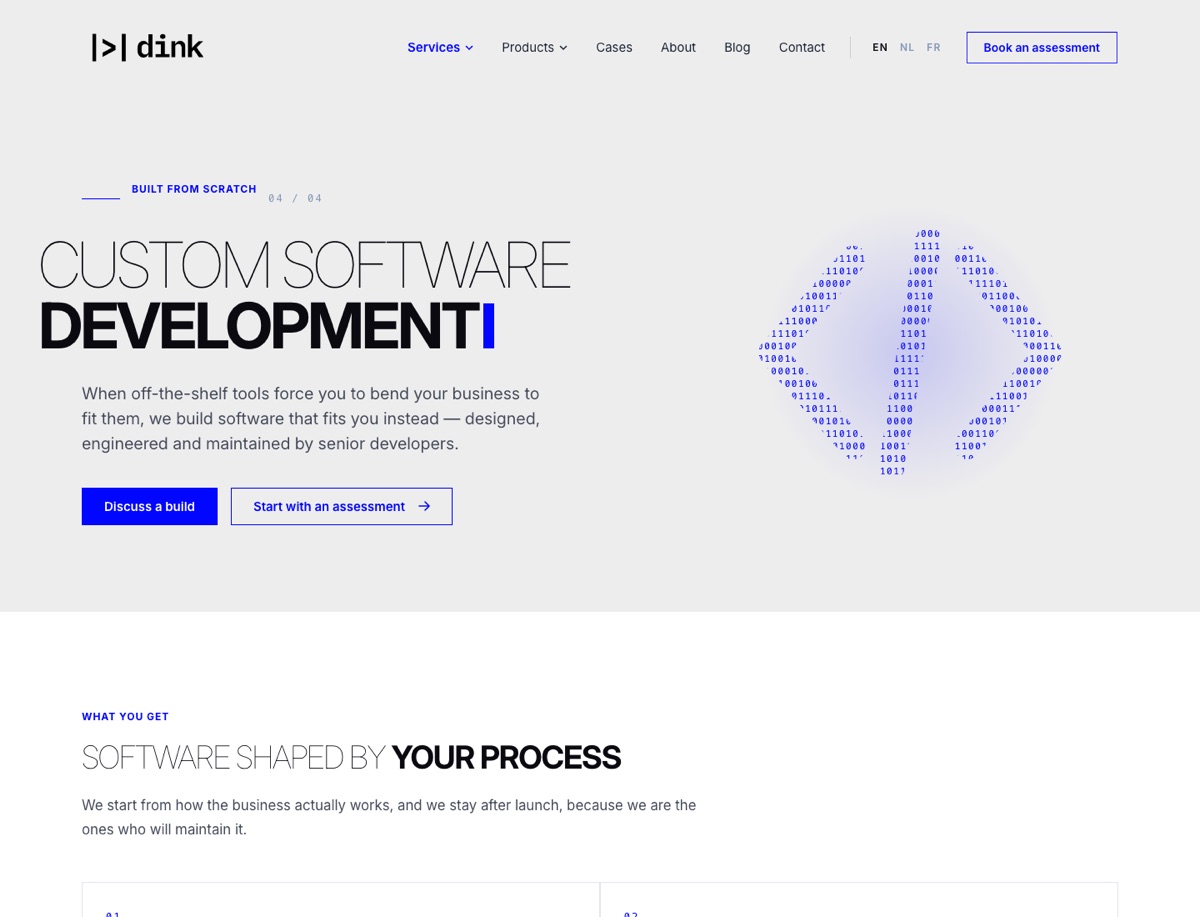 Página Custom Software Development